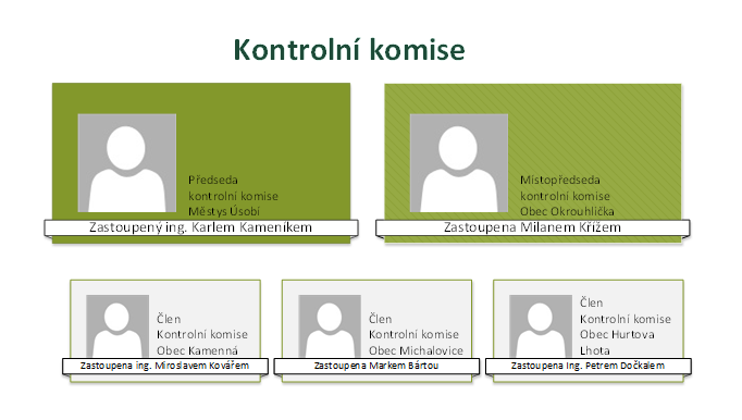 Kontrolní komise