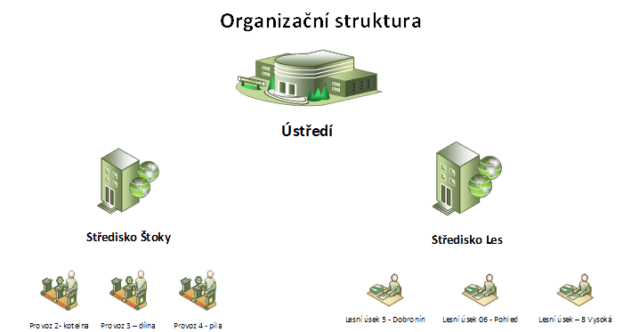 Organizační struktura